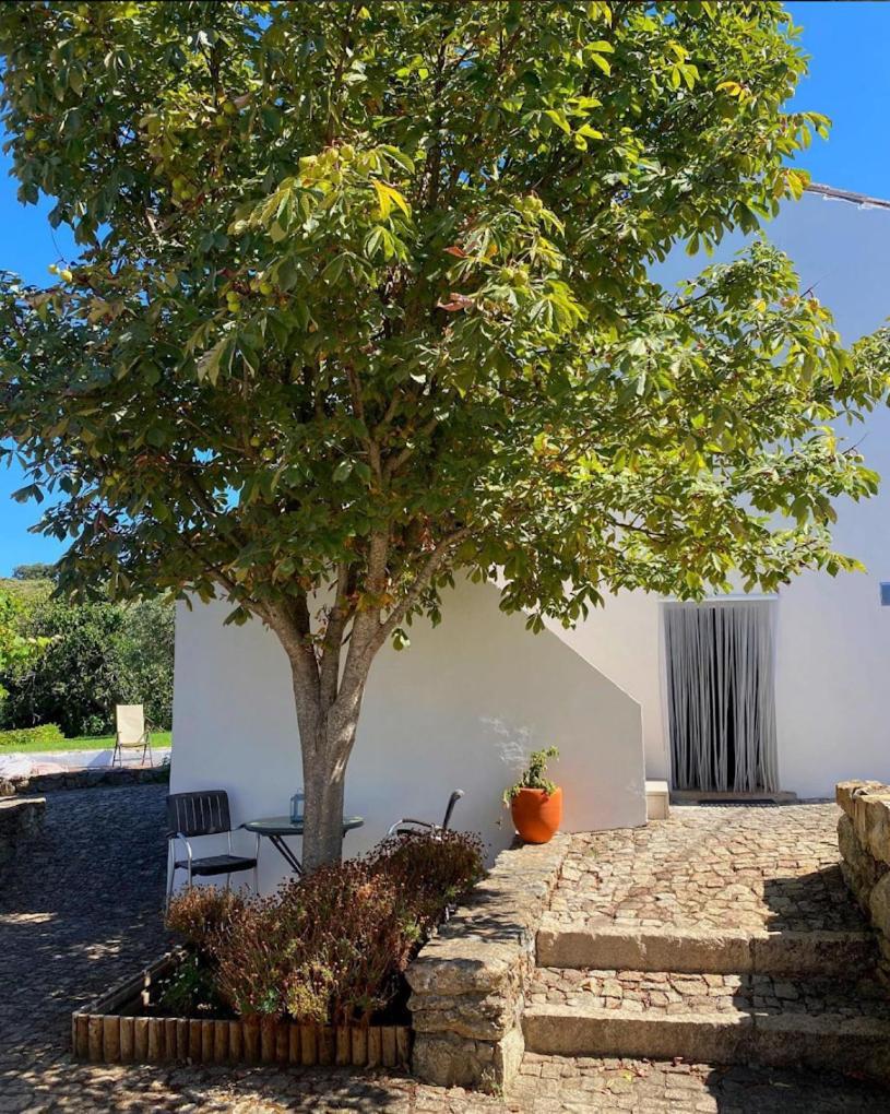 Villa Quinta D'Abegoa Marvão Esterno foto